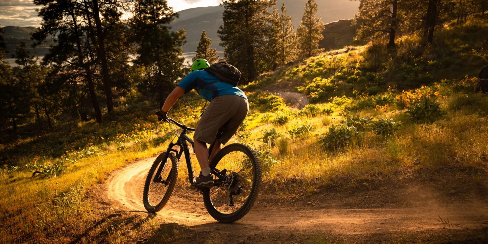 Welches Fahrrad passt zu mir Die richtige Wahl für alle Bedürfnisse