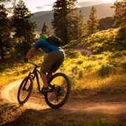 Welches Fahrrad passt zu mir Die richtige Wahl für alle Bedürfnisse