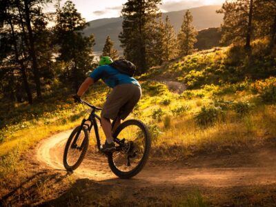 Welches Fahrrad passt zu mir Die richtige Wahl für alle Bedürfnisse