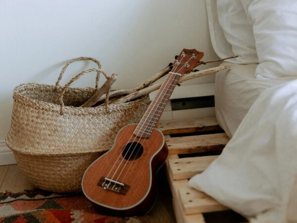 mitglieder von the cranberries