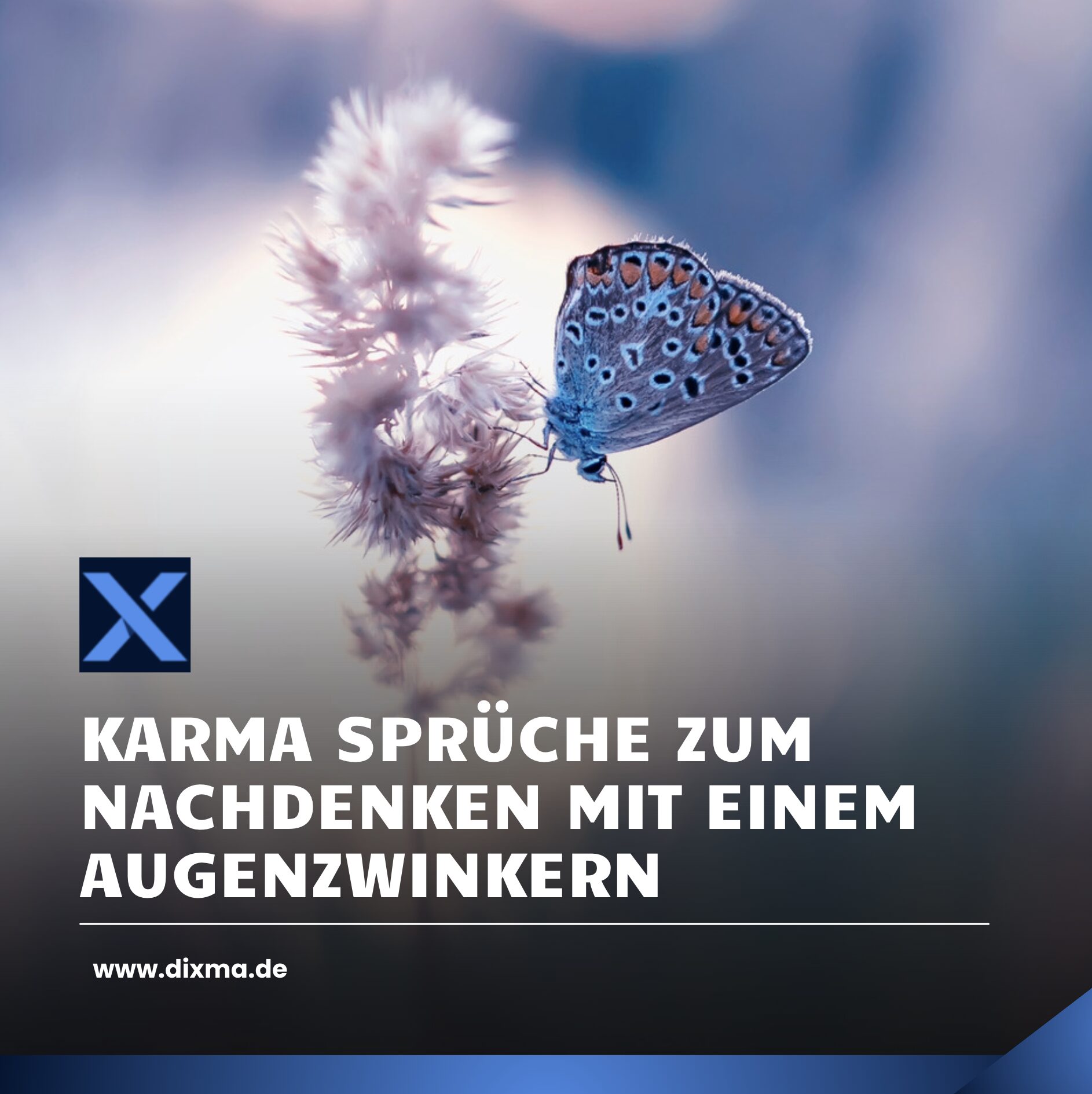 Karma Sprüche zum Nachdenken mit einem Augenzwinkern