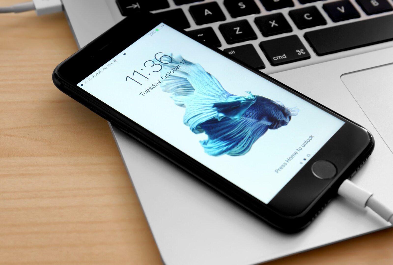 iPhone zurücksetzen ohne Apple ID Passwort So gelingt die Wiederherstellung