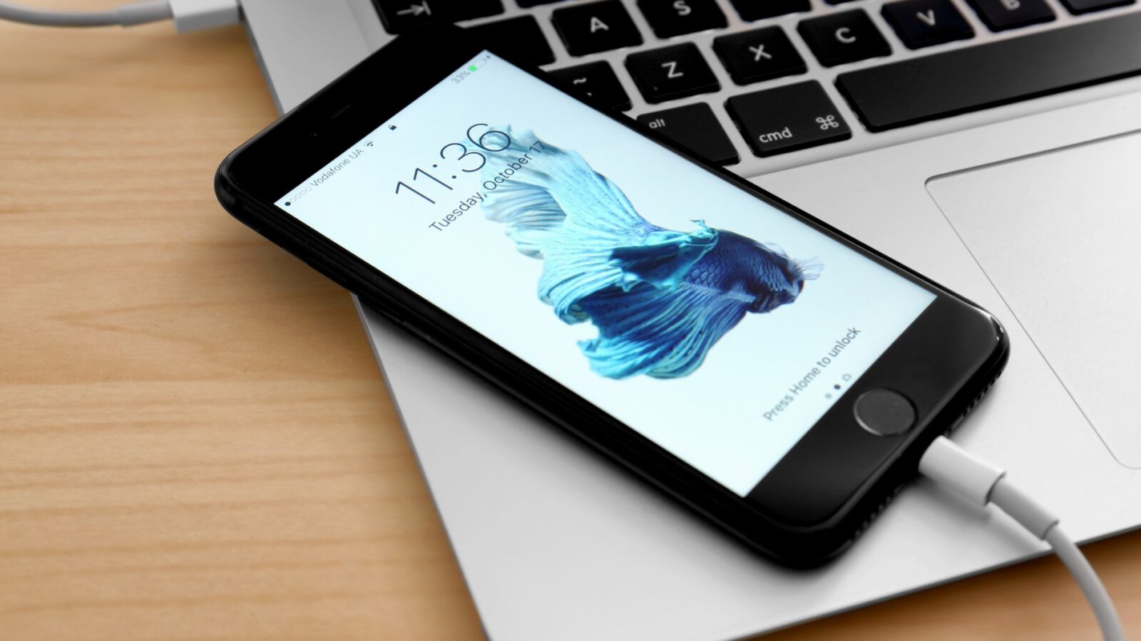 iPhone zurücksetzen ohne Apple ID Passwort So gelingt die Wiederherstellung
