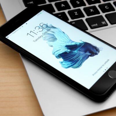 iPhone zurücksetzen ohne Apple ID Passwort So gelingt die Wiederherstellung